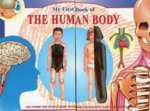 The Human Body
