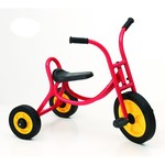 A2.360.3: LARGE TRIKE