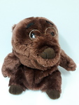E2.112.65: Wombat with glasses