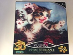 3D POUNCE PUZZLE