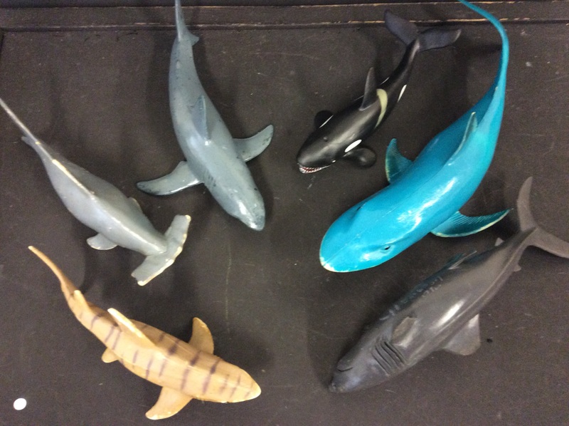 E2.339.1: OCEAN LIFE