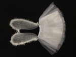 ANGEL TUTU COSTUME SET