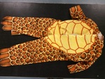 Turtle Costume