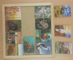 AUSTRALIAN ANIMALS MEMORY GAME