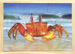 CRAB PUZZLE