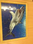 SHARK PUZZLE