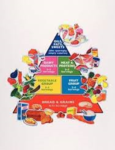 FELT FOOD PYRAMID