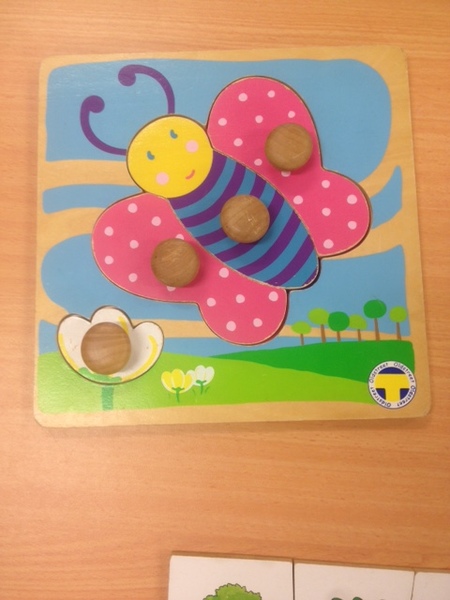 C2.773.2: LARGE KNOBBED BUTTERFLY PUZZLE