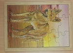 DINGO PUZZLE