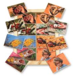 D1.037.1: BUSH TUCKER MEMORY GAME