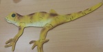 GECKO FLOOR PUZZLE