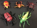 E2.935.1: LARGE INSECT SET