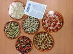 MAGNETIC PIZZA FRACTIONS
