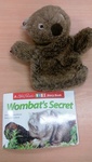 E3.972.1: WOMBAT'S SECRET SET