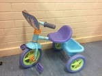 BLUEY TRIKE WITH BUCKET