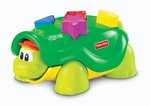 POPPING SHAPE TURTLE