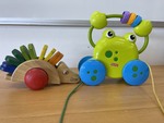 Pull Along Echidna and Froggie
