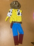 92: Woody Costume 2