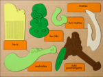 Te Reo Maori Puzzle: Artefacts