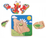 Lifecycle Layer Puzzle Butterfly
