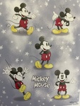 Mickey Mouse Puzzle