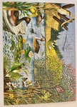 Puzzle, Pond Life