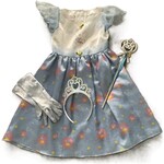 Costume:  Cinderella 