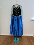 C11: Costume: Anna Frozen 2