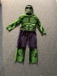 Costume:  The Hulk