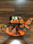 Butterfly dress up