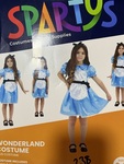 Alice in Wonderland Costume