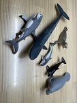 Sea animals