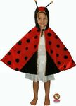 Ladybird dress up