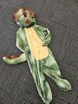 Triceratops Costume