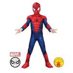 Spiderman costume