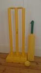 Cricket set