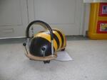 Bumblebee Wheelie Bug