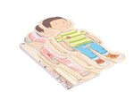 Boy body puzzle