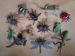 100: Insects collectA