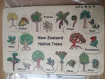 New Zealand Native Trees