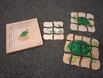 Turtle Life Cycle Puzzle 