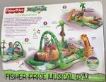 Fisher Price Musical Gym