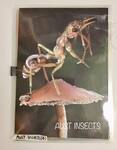 Aust Insects