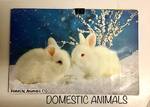 Domestic Animals