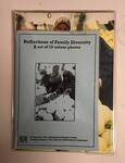 Reflections of Family Diversity