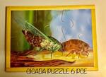 Cicada Puzzle 6 Piece