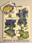 Lifecycle of Frog Puzzle
