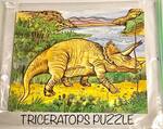Triceratops Puzzle