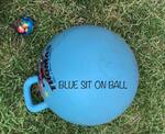Blue Sit-On Ball