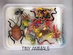 Tiny Animals